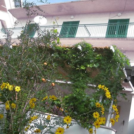 Apartman Sulic ポドゥゴラ エクステリア 写真